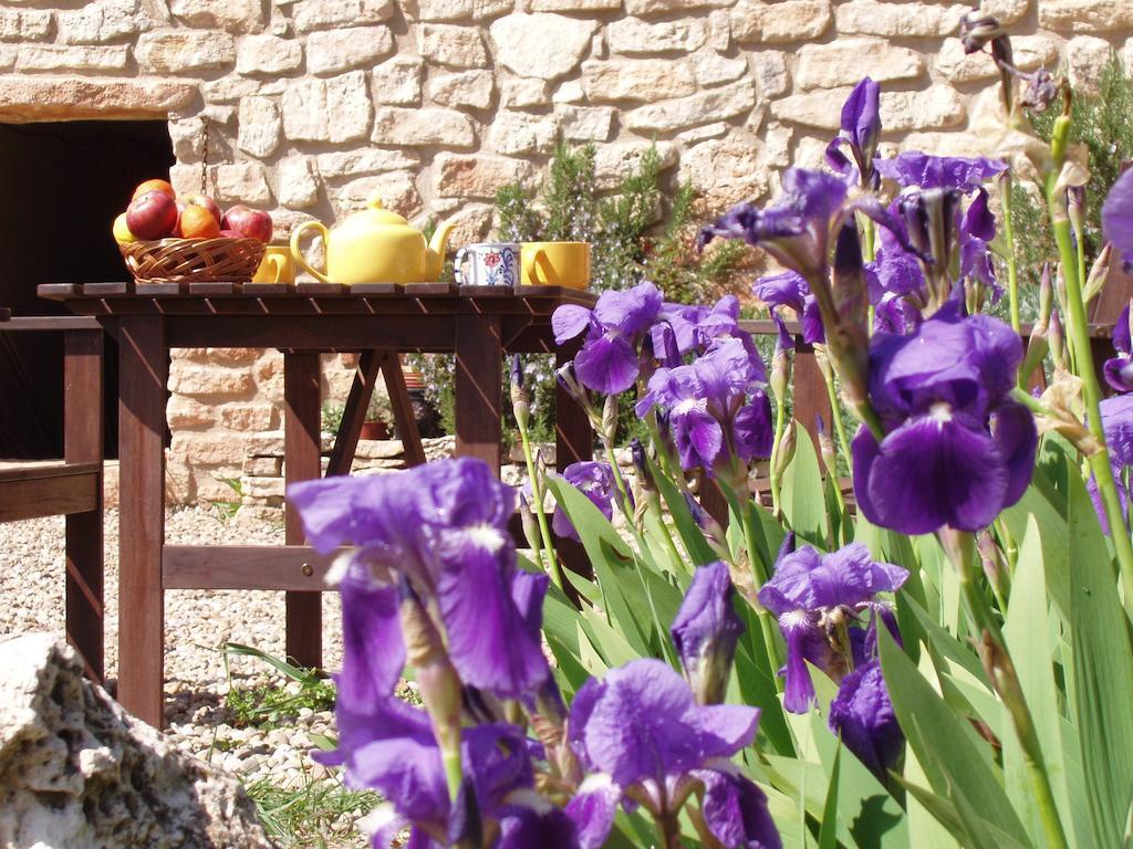 Mas De L'Arlequi Guest House Rojals Bagian luar foto